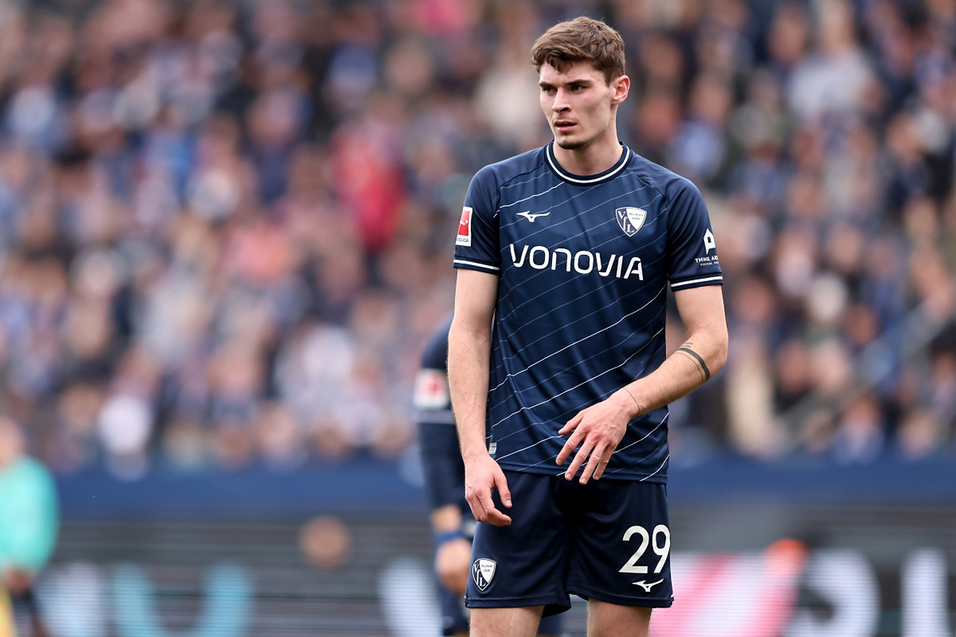 带来了数不 带来了数不