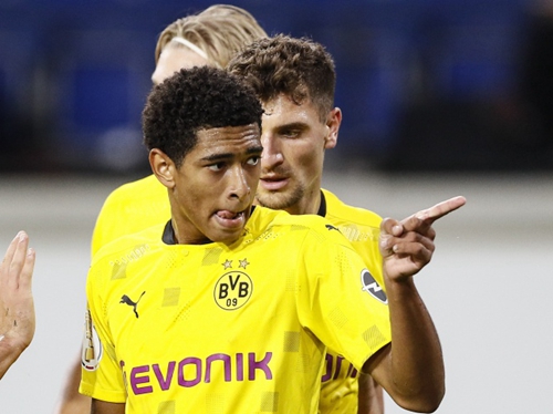 职业生命 职业生命