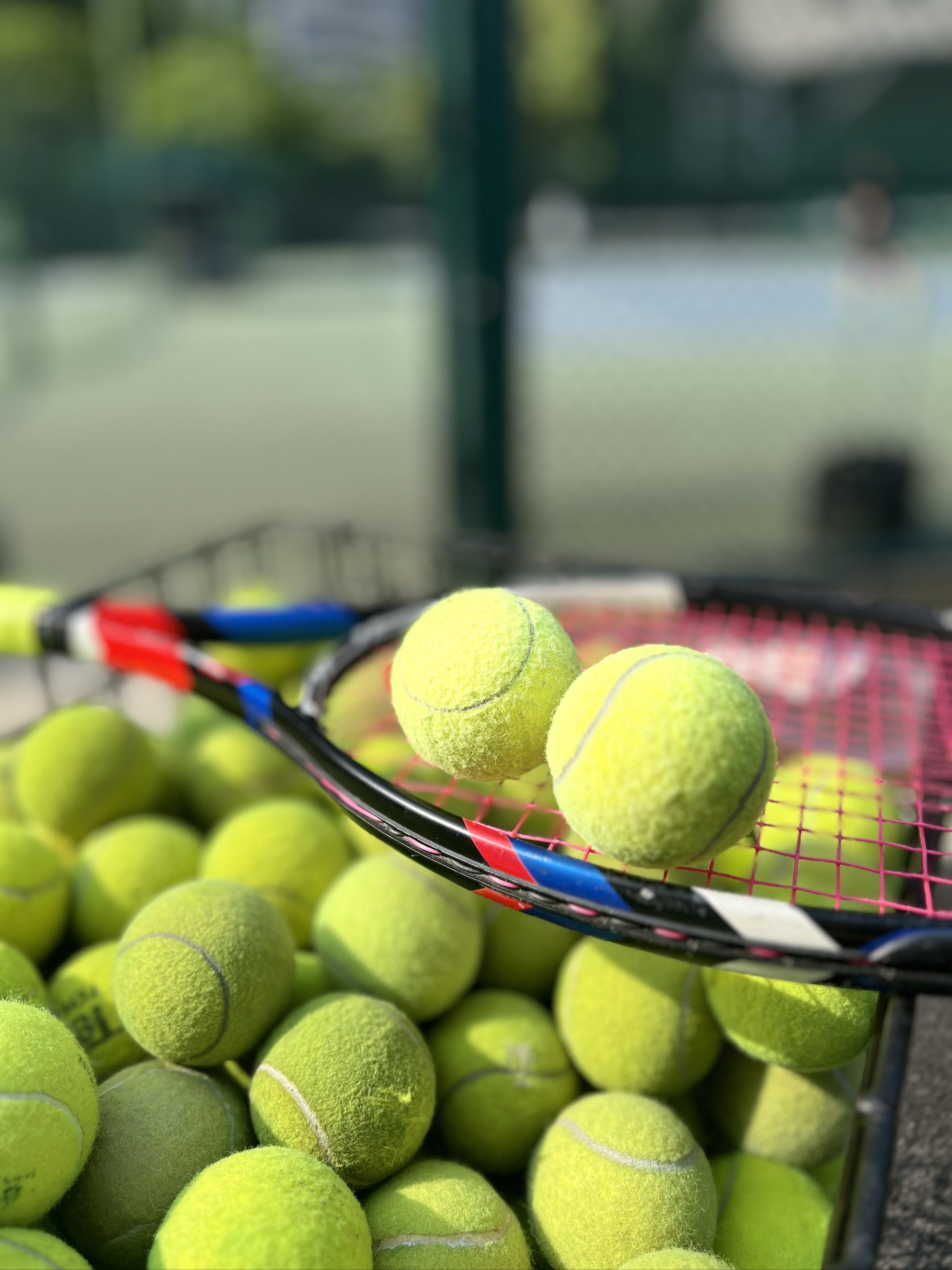 水体管理 水体管理