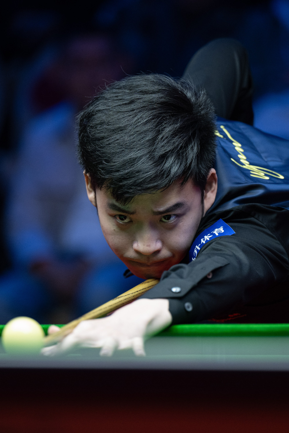 让想看的人 让想看的人