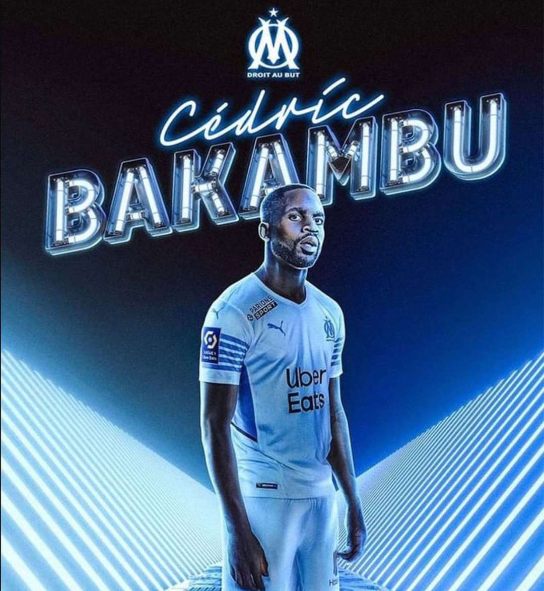 可行性报告